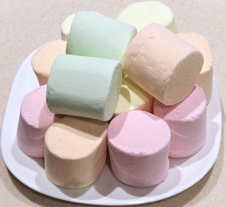 圖像裡可能有食物